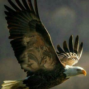 Meet your Posher, Sue